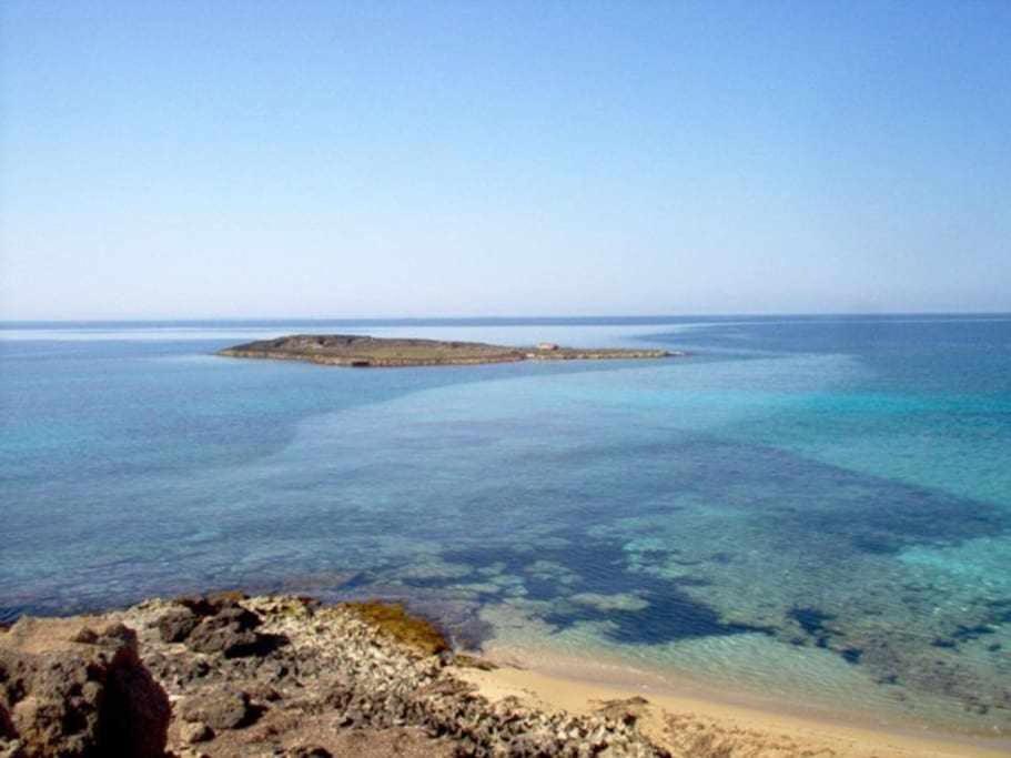 토레 산 지오반니 우겐토 App Girasole 1A 300 Metri Dal Mare In Salento 아파트 외부 사진